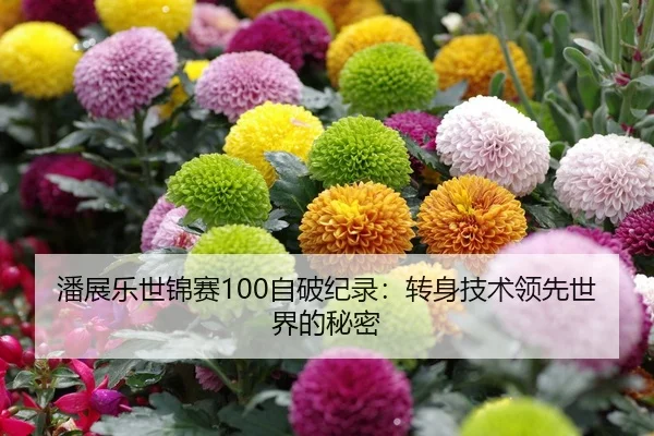 潘展乐世锦赛100自破纪录：转身技术领先世界的秘密