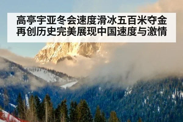 高亭宇亚冬会速度滑冰五百米夺金再创历史完美展现中国速度与激情